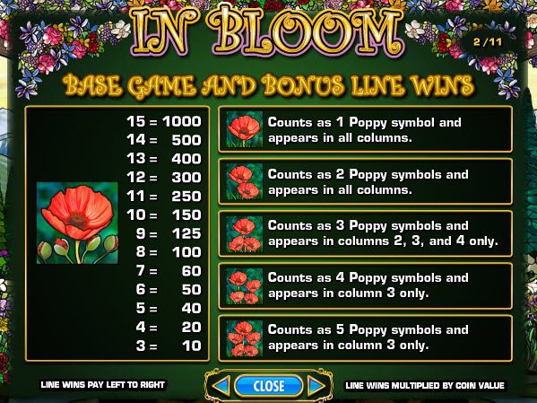 In Bloom Slot Top Pay Table