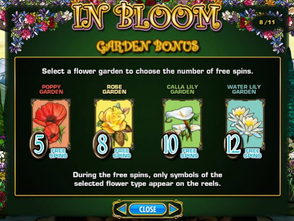 In Bloom Slot Feature