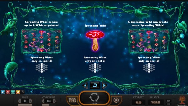 Magic Mushrooms  Slot Features
