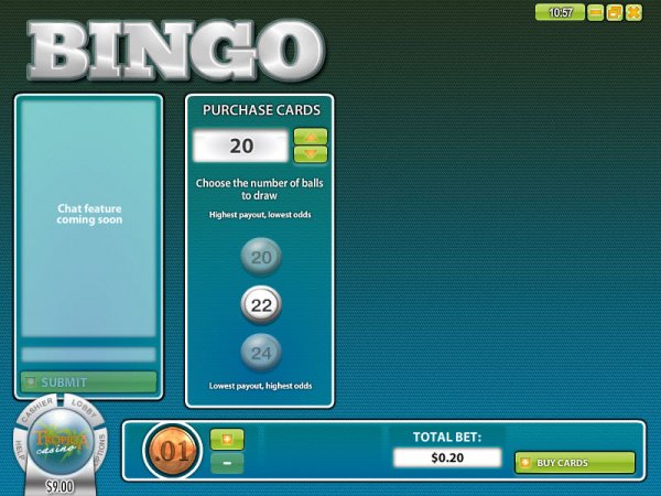 30 Ball Instant Bingo Game Screen 