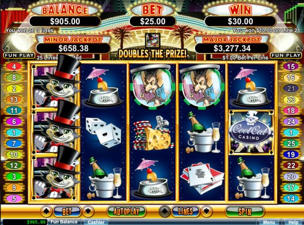 Cool Cat Casino Slot Game Reels