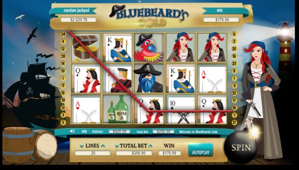 Bluebeard's Gold Slot Game Reels