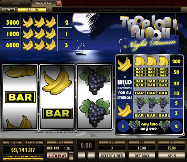 Screenshot of Tropical Punch Night Dream Slots from Top Game