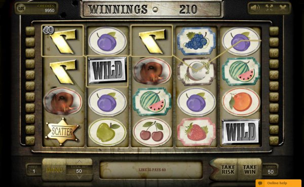 Wild Fruits Slot Game Reels