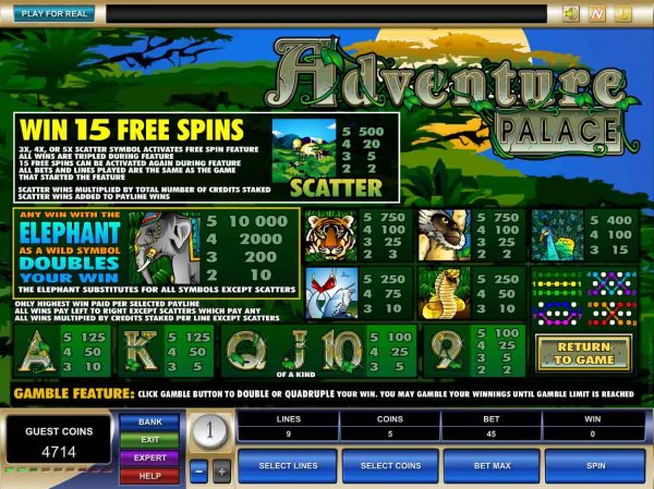 Paytable for Adventure Palace Slots by Microgaming.