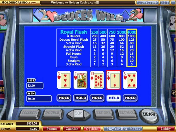 Screenshot of Deuces Wild at Golden Casino