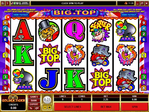 Screen play of Big Top slots from MGS