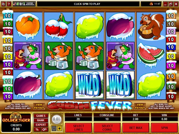 The play at Cabin Fever slots