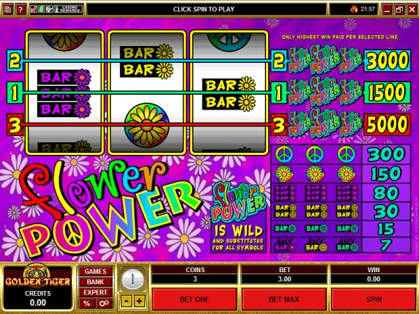 Flower Power slots pay table and game