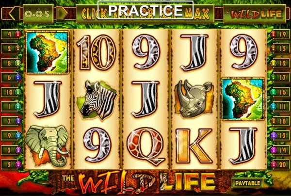 wild life slot machine game