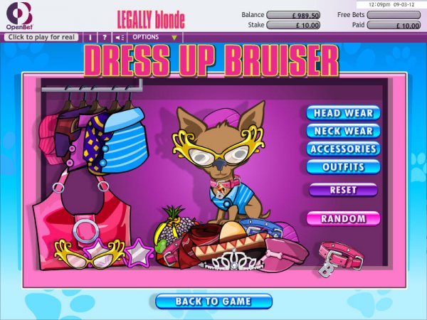 Dress up Bruiser