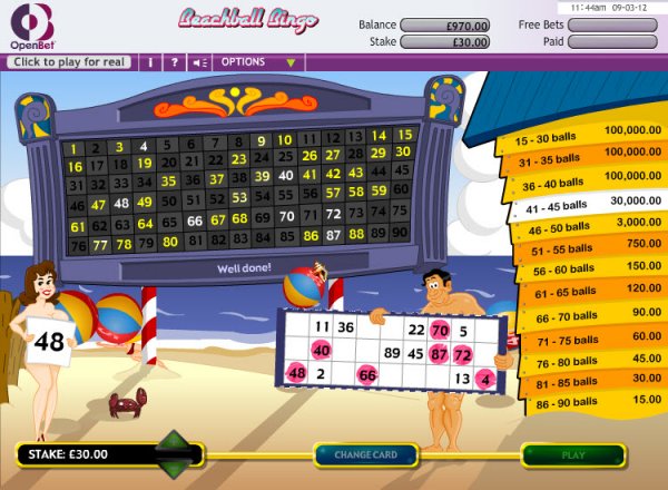 Beachball Bingo