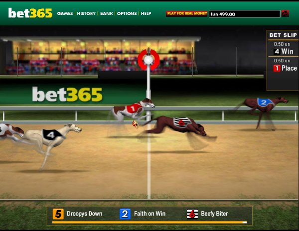 dog race wagering online