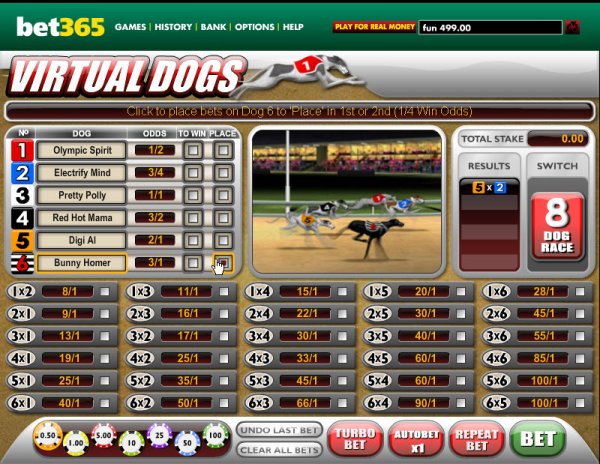 Virtual Dogs race Card