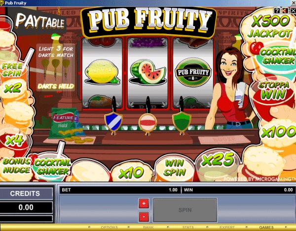Screenshot from Pub Fruity classic slots