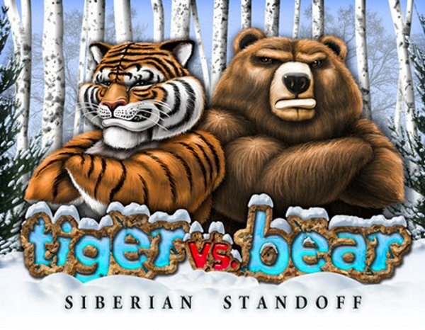 Tiger vs Bear Siberian Standoff