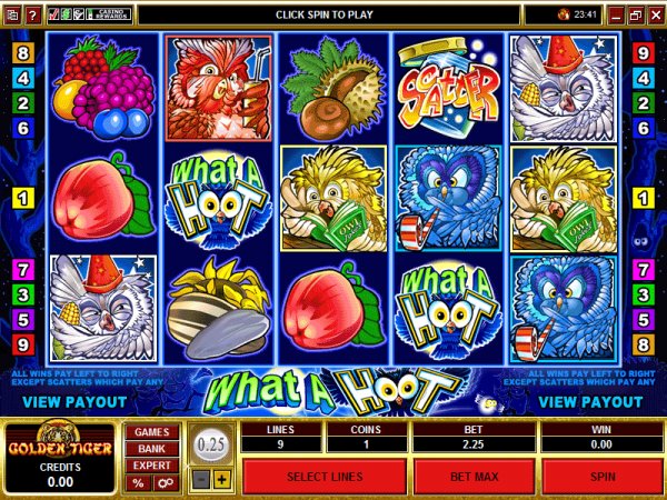 What a Hoot slots preview
