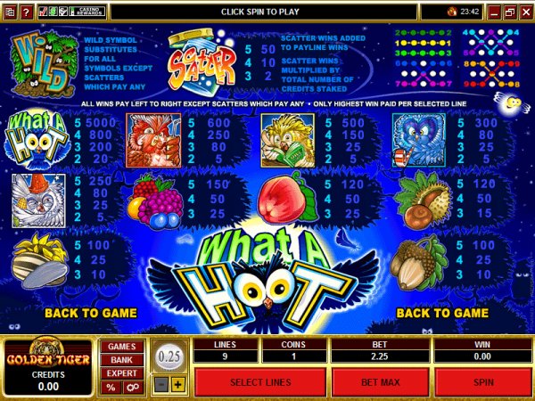 What a Hoot slot machine  pay out table