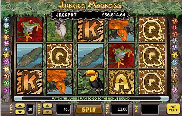Jungle Madness Slot Machine