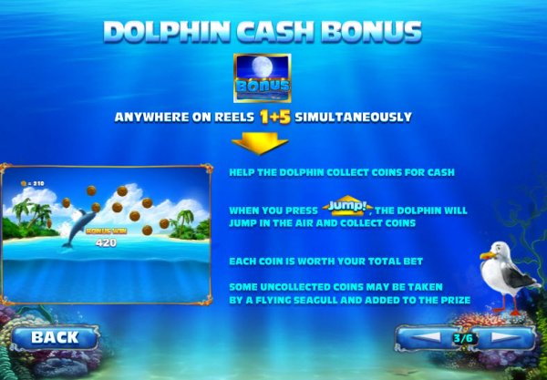 Dolphin Cash Bonus