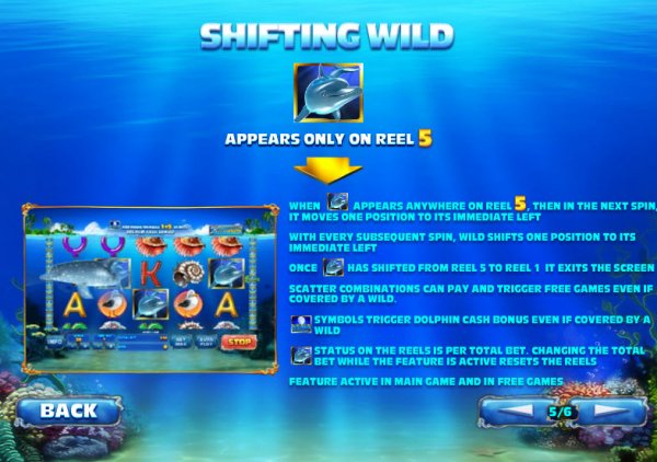 Shifting Wild